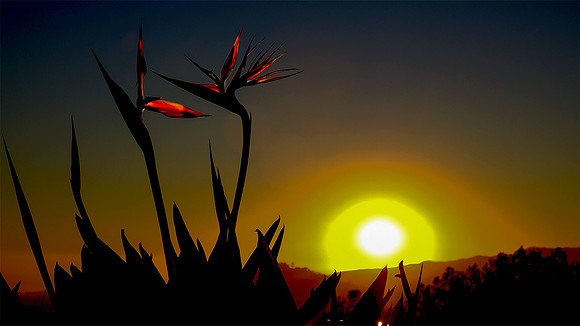 sunset ,getty-1
